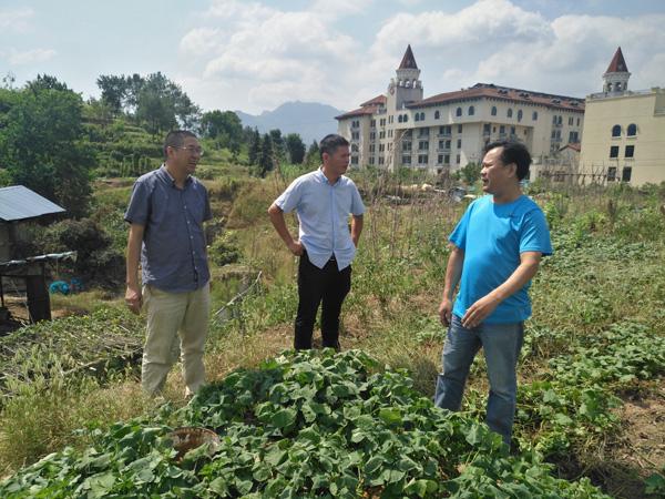 云和县康复事业单位最新项目，为健康与康复事业注入新动力