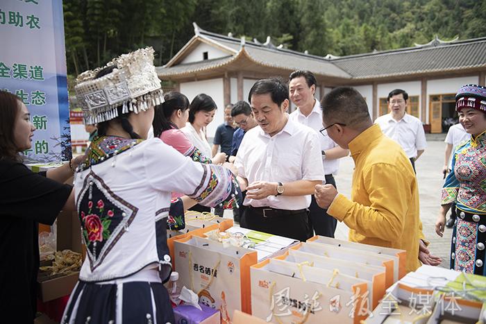 黄坪村民委员会最新项目，乡村振兴的绿色步伐