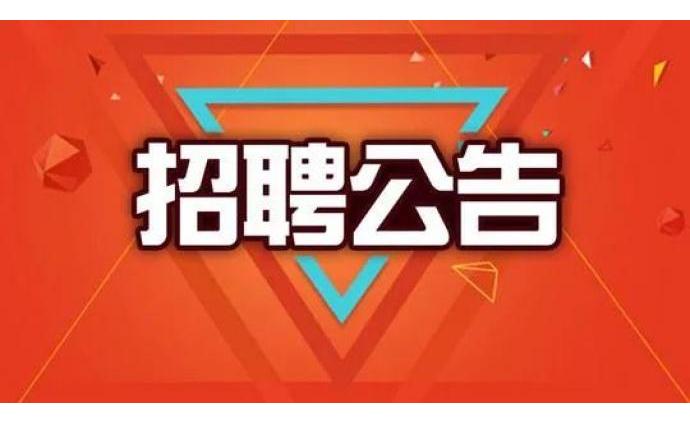 自贡市市审计局最新招聘信息——机遇与挑战并存的职业之路