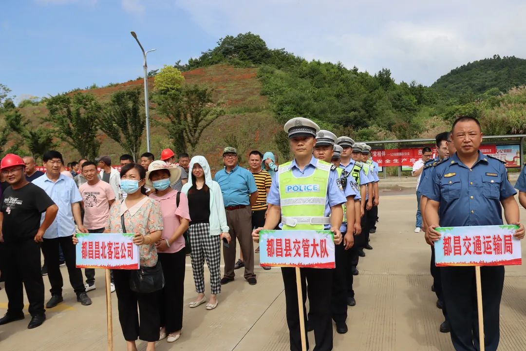 阁山乡最新交通新闻，交通建设取得显著进展